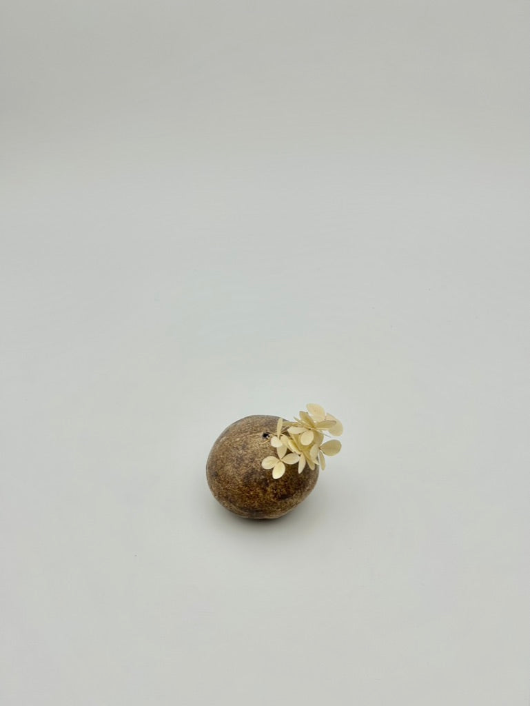 Vaso Sasso